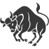 Stier1 Stier1